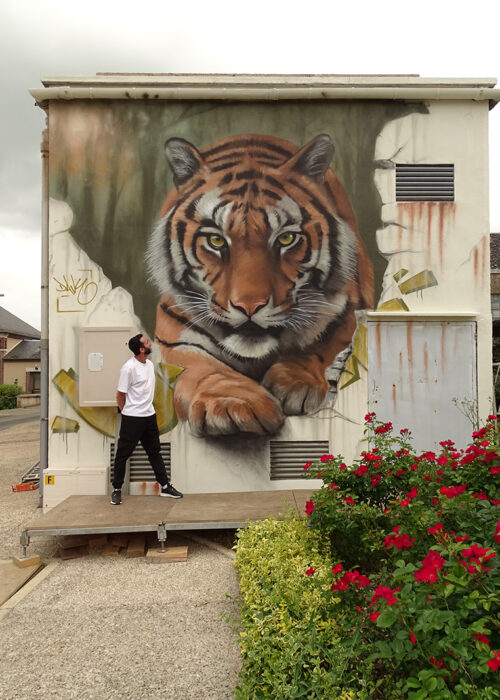Courtenay02-street-art-Daves-Baranes-025