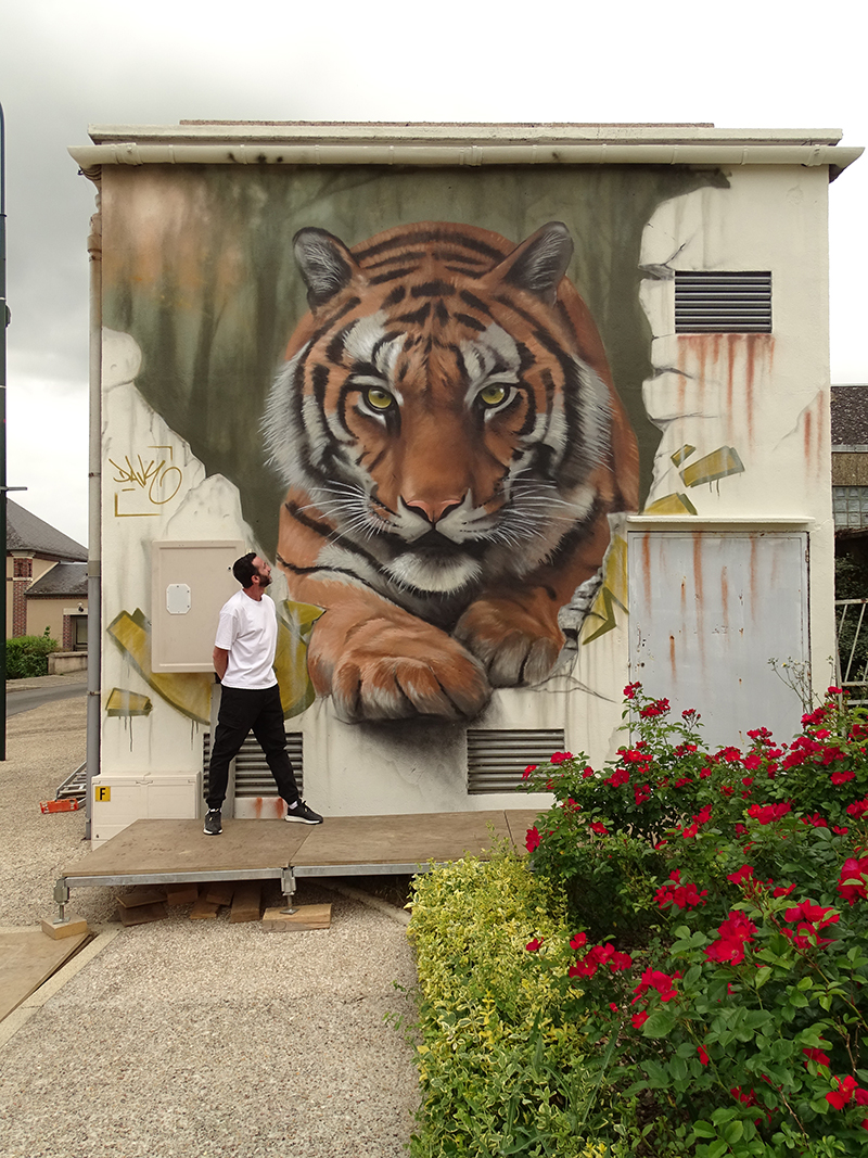 Fresque monumentale du tigre réalisée à Courtenay par Dave Baranes