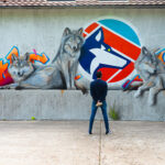 Fresque murale « Loup Dave baranes » – street art trompe-l'oeil par Dave Baranes