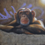 Toile originale « Eveil-bd » – peinture animalière street art par Dave Baranes
